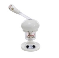 Spa Facial Steamer Categories